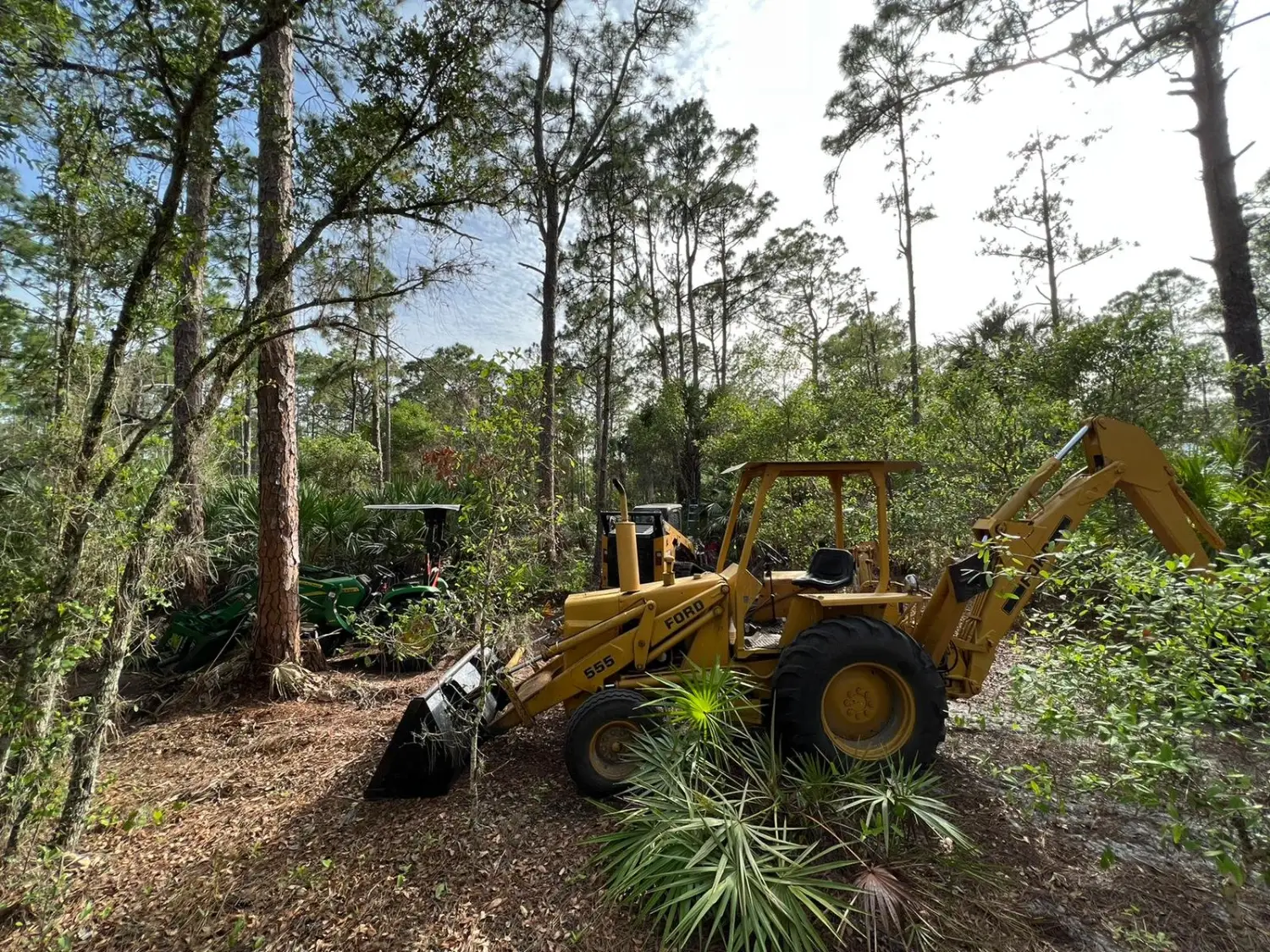 Brush Clearing Palm Bay